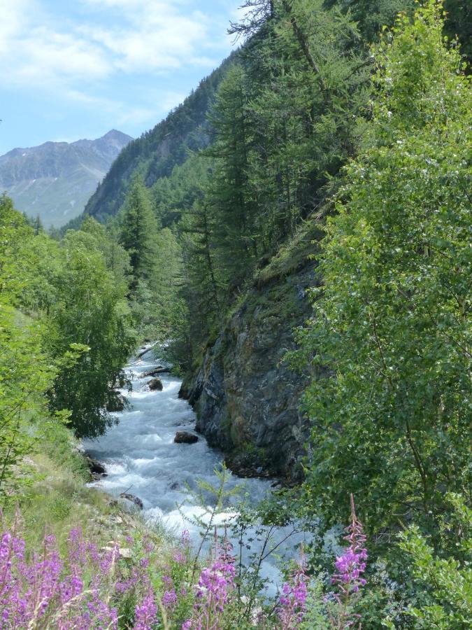 Ferienwohnung Tranquillite Et Authenticite Au Pied Des Ecrins Villar-dʼArène Exterior foto
